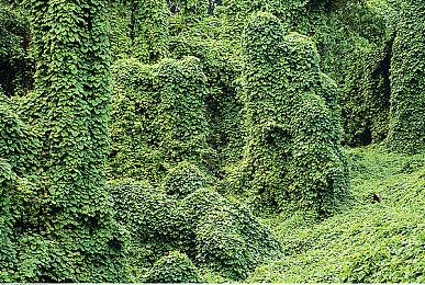 《GTA6》售价或将破70美元 T2老板称涨价是正确决定