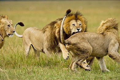 《无人深空》工作室新作将包含“比珠穆朗玛峰还高”的山脉